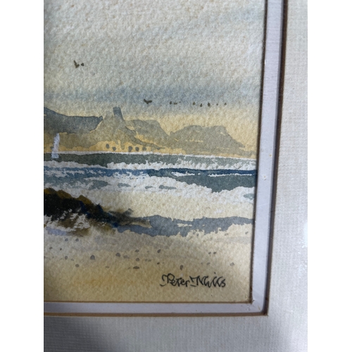 797 - Two original signed water colours by Peter Nills