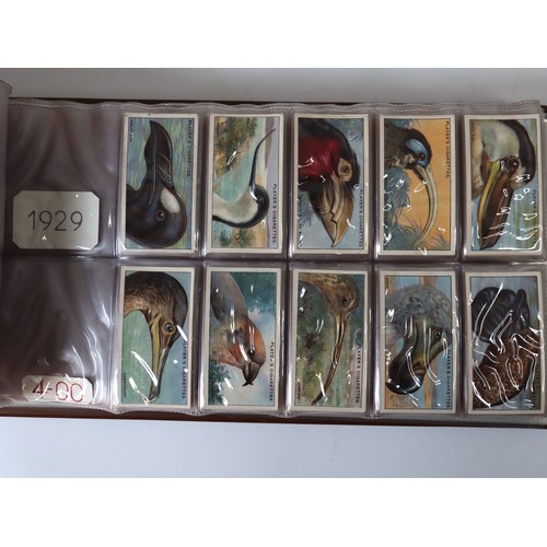 101 - Album Containing Wills & John Player Cigarette Cards Multiple Birds & Butterfly Complete Sets 1915-1... 