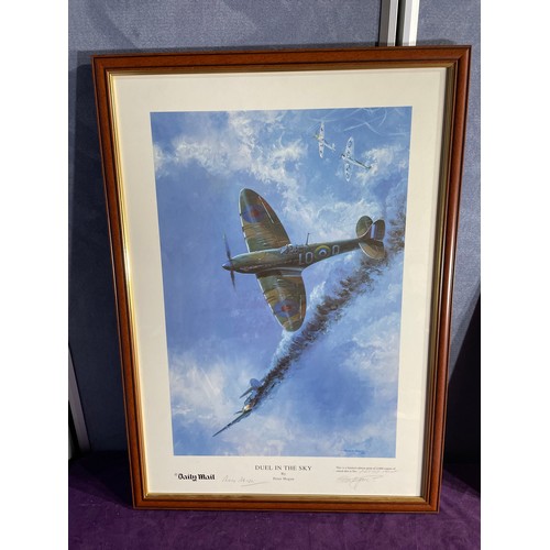 716 - Daily Mail Duel in the sky Artist proof signed print by Artist Peter Hogan and Wing Commander Paddy ... 