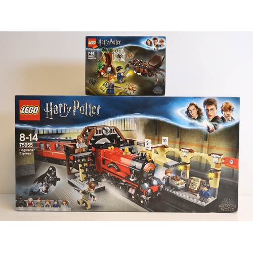 114 - LEGO - Harry Potter 75950 Aragog's Liar + 75955 Hogwarts Express