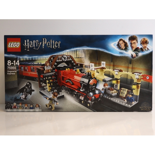 114 - LEGO - Harry Potter 75950 Aragog's Liar + 75955 Hogwarts Express