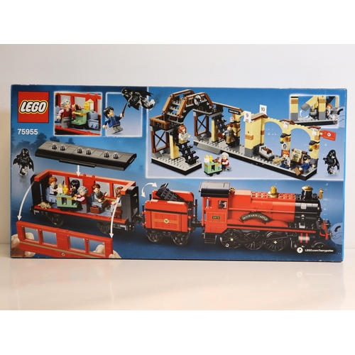 114 - LEGO - Harry Potter 75950 Aragog's Liar + 75955 Hogwarts Express