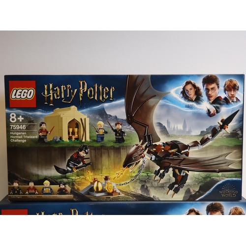 121 - LEGO - Harry Potter 75946 Hungarian Horntail Triwizard Challenge + 75947 Hagrid's Hut Buckbeaks Resc... 