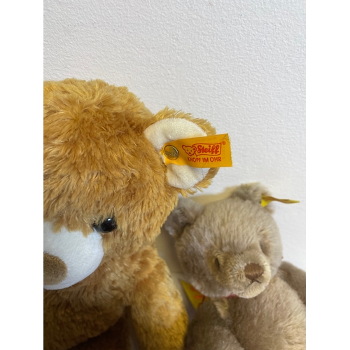 361 - A collection of Steiff teddy bears