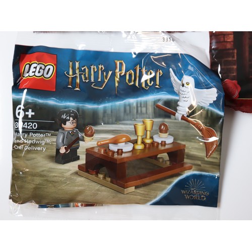 174 - LEGO - Harry Potter Sets & Polybags including  30407 Harry's Journey to Hogwarts (4), 30110 (2), 301... 