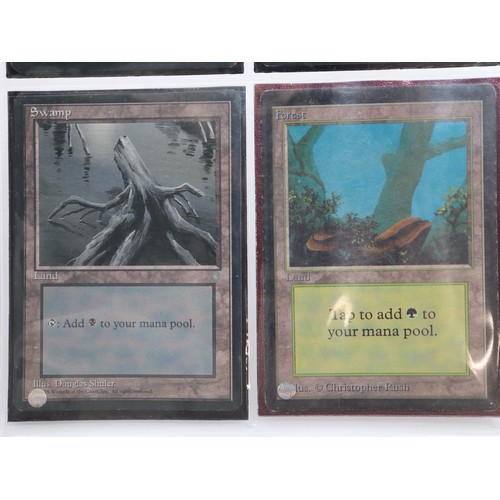 421 - Magic The Gathering TCG - Beta Basic Land Type Forest (4), Island (3), Mountain (3), Plains (5), Swa... 