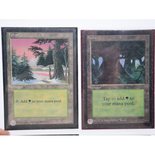 421 - Magic The Gathering TCG - Beta Basic Land Type Forest (4), Island (3), Mountain (3), Plains (5), Swa... 