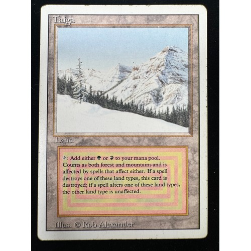 Lot 18        