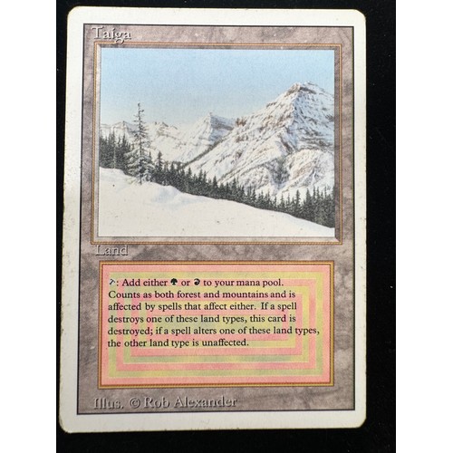 Lot 19        