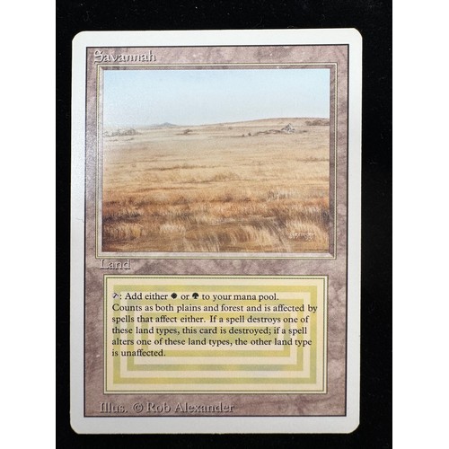 Lot 21        