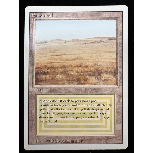 Lot 22        