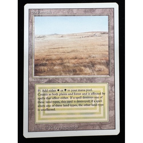 Lot 23        