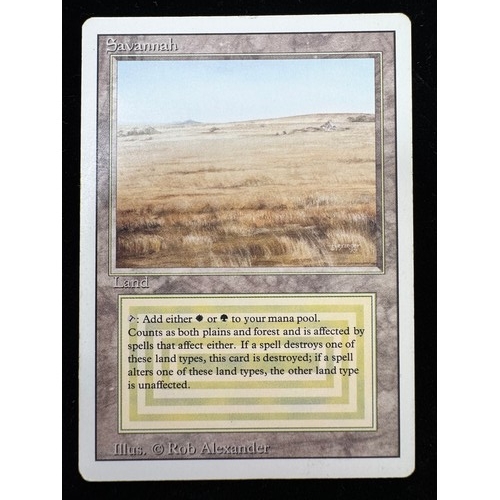Lot 24        