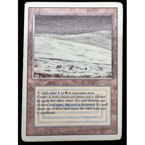 Lot 28        