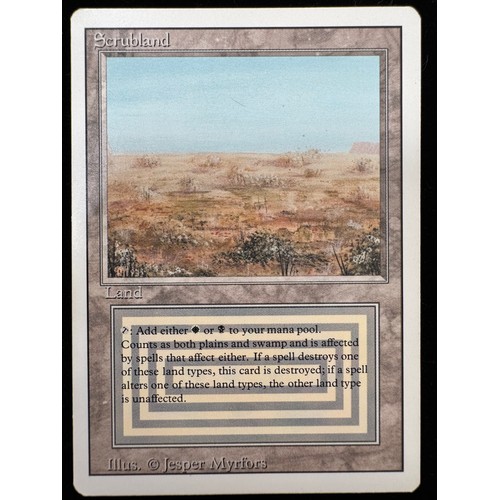 Lot 41        