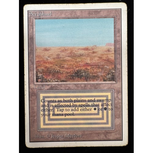 Lot 43        