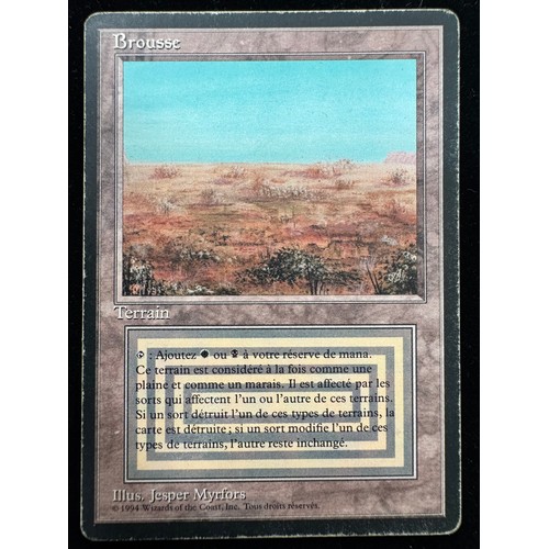 Lot 44        