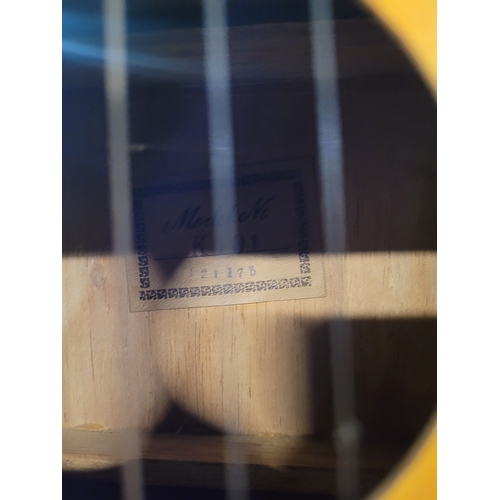 405 - 2 Guitars plus 2 Hercules stands