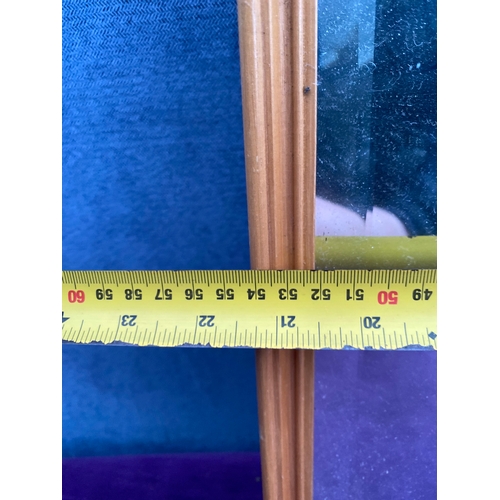 549 - Two Rectangular mirrors on gilt framed