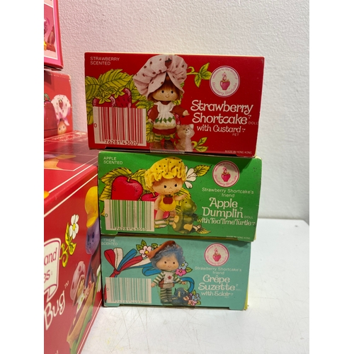 200 - A Collection of Strawberry Shortcake toys in original boxes by Kenner includes Strawberry Shortcake ... 