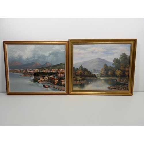 28 - Original P.Wilson Rural Lake Oil on Canvas (Framed 23.5