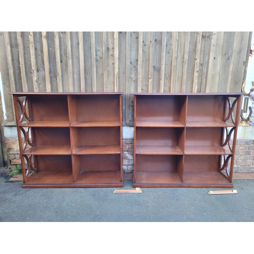 393 - Pair of fretwork vintage double bookcases