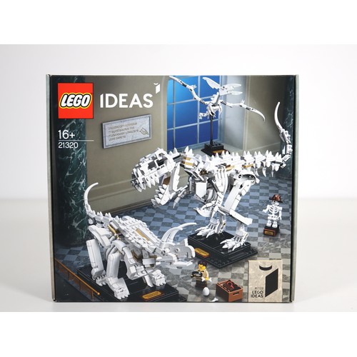 Lot 26        