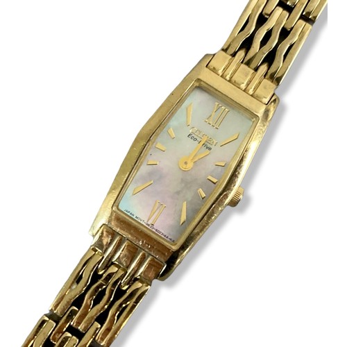 2 - Ladies Citizen Eco drive watch.
17cm long.