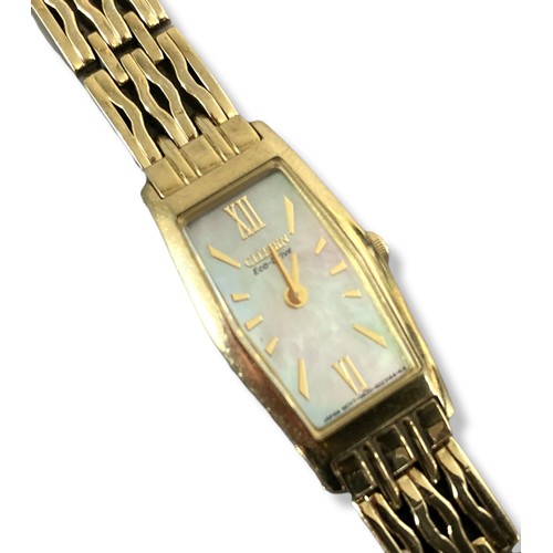 2 - Ladies Citizen Eco drive watch.
17cm long.