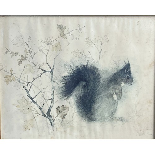 293 - Pair of framed Signed Mads Stage coloured Prints. Depicting A red Fox & Squirrel.

36 x 30 cm (incl ... 