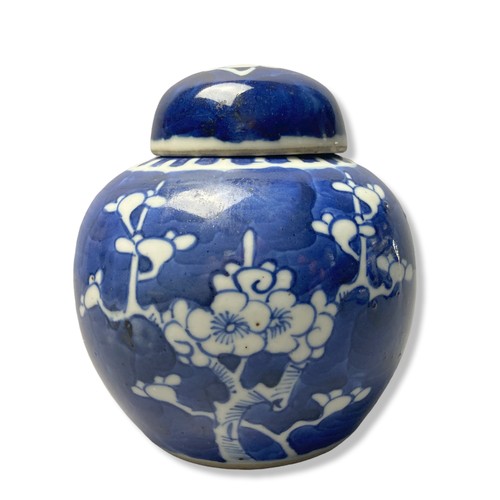 175 - Collection of Chinese porcelain, including hand-painted Prunus Jar with Kangxi style blue double rin... 