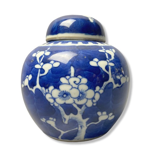 175 - Collection of Chinese porcelain, including hand-painted Prunus Jar with Kangxi style blue double rin... 