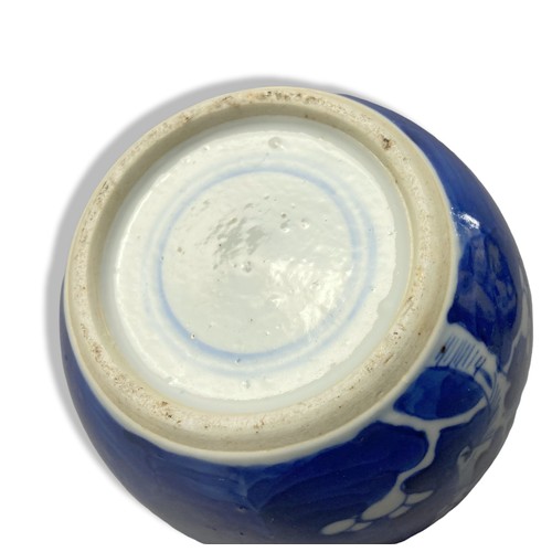 175 - Collection of Chinese porcelain, including hand-painted Prunus Jar with Kangxi style blue double rin... 