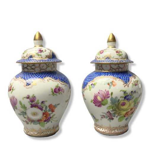 119 - Pair of Dresden porcelain Baluster vases with covers. Hand-painted with sprays of colourful flowers ... 