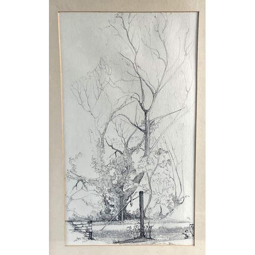 287 - Two signed Pen & Ink natural landscape drawings. Signed & dated. 
Portrait drawing of trees measures... 