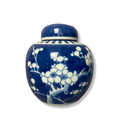 236 - A 19th century Chinese porcelain Prunus Ginger jar, together with a 20th-century example. Double blu... 