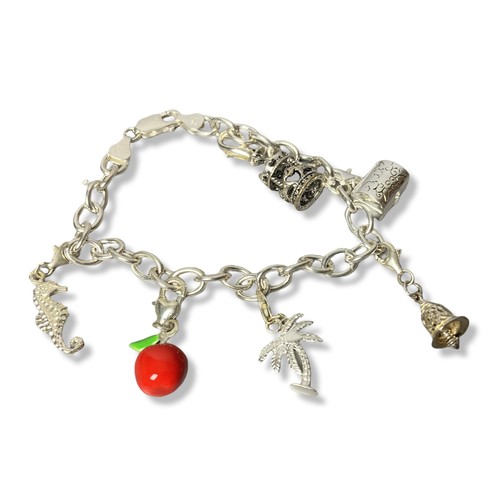 57 - Silver Charm bracelet & six Charms. 
Weighs Approx. 23.53 grams