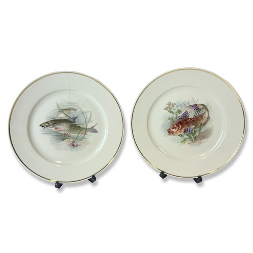 81 - A Collection of 14 bavarian porcelain Fish decorated plates. Including 9 large Johann Haviland examp... 