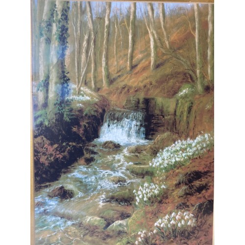 324 - Framed & Signed Woodland landscape painting.
42 x 52cm