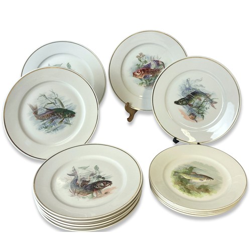 118 - A Collection of 14 bavarian porcelain Fish decorated plates. Including 9 large Johann Haviland examp... 