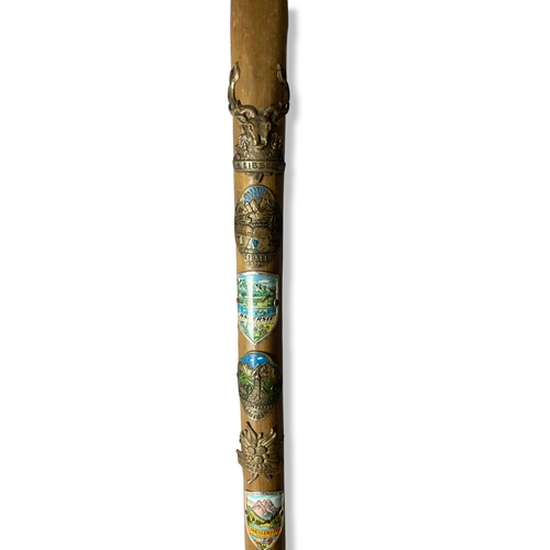 207 - A collection of Walking sticks.