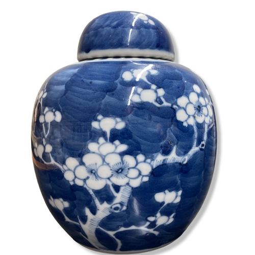 212 - A 19th-century Chinese Prunus decoration Ginger Jar.  Kangxi type double ring mark to base.