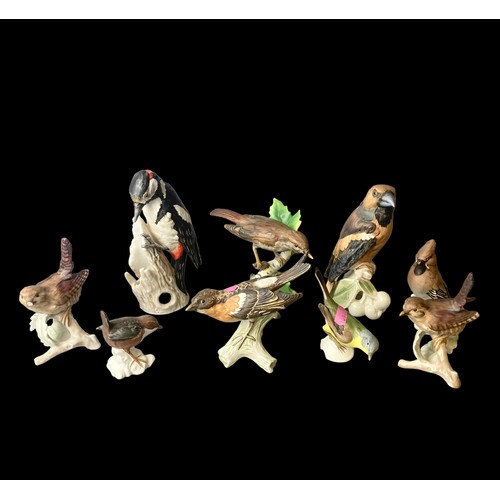 45 - A Collection of Nine Goebel porcelain birds.