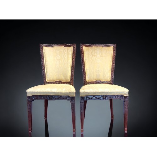 34 - A PAIR OF VICTORIAN CARVED MAHOGANY SHOW CHAIRS.