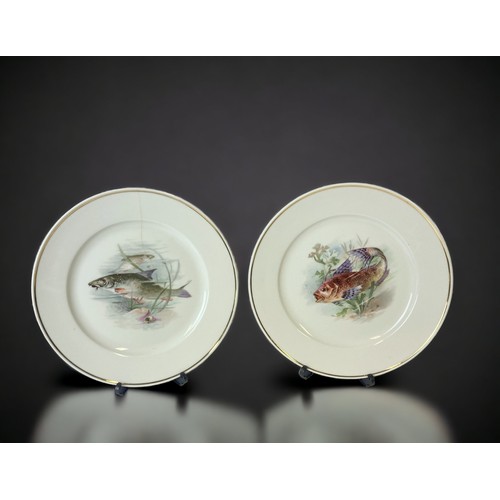 141 - A Collection of 14 bavarian porcelain Fish decorated plates. Including 9 large Johann Haviland examp... 