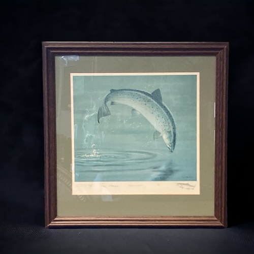 10 - A COLLECTION OF ANIMAL PRINTS. INCLUDING A LTD EDITION TIM HAWES 'THE SEATROUT', HENRY ALKIN 'STAG H... 