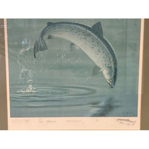 10 - A COLLECTION OF ANIMAL PRINTS. INCLUDING A LTD EDITION TIM HAWES 'THE SEATROUT', HENRY ALKIN 'STAG H... 