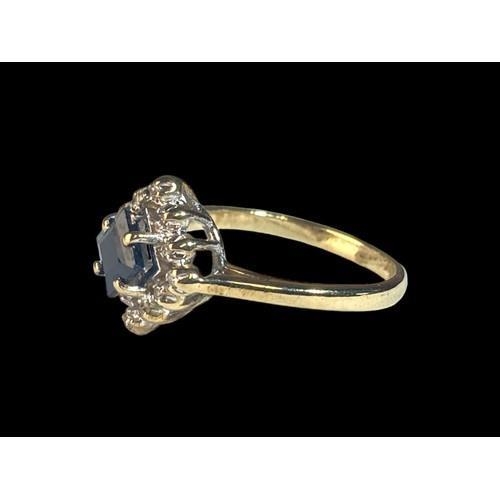 217 - A 9ct Gold Ladies Diamond & Sapphire Cluster Ring. 3.1g. Size N