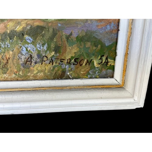 21 - A LARGE OIL LANDSCAPE PAINTING.
SIGNED 'A PARTERSON' 54.
34