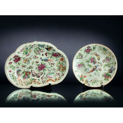 310 - A CHINESE QING DYNASTY FAMILLE ROSE ON CELADON PORCELAIN DISH.
KIDNEY SHAPED. 
TOGETHER WITH SIMILAR... 